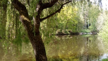 Lago
