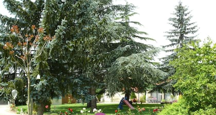 Le Clos de la Vigne