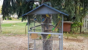 Une cage à oiseaux en métal, dotée d’un toit, entourée d’arbres et bordée d’une pelouse.