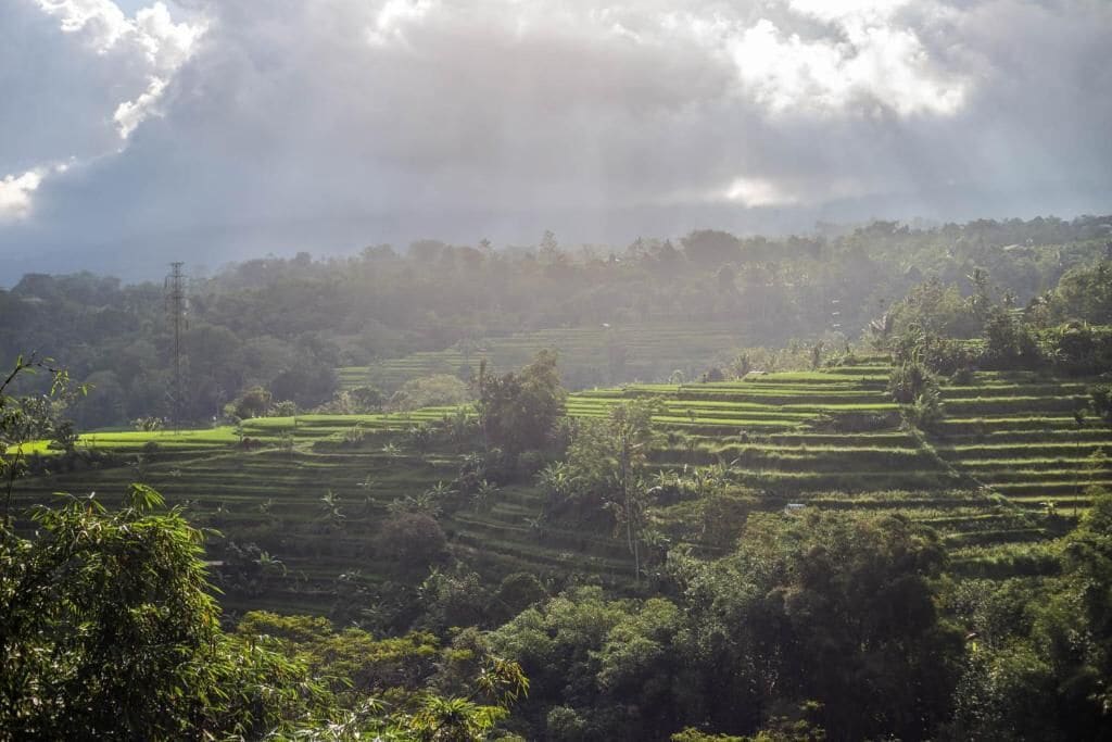 Terraced fields with a power line in the distance.