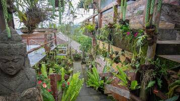 Jardim