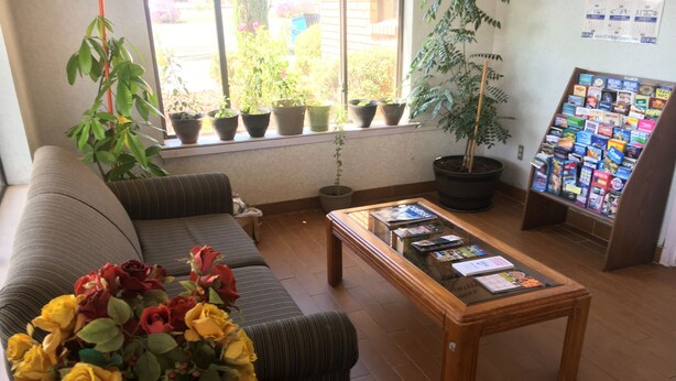 A cozy room with a sofa, a coffee table with magazines, a vase of flowers, and a bulletin board with travel information. - Executive Inn Odessa (Odessa)