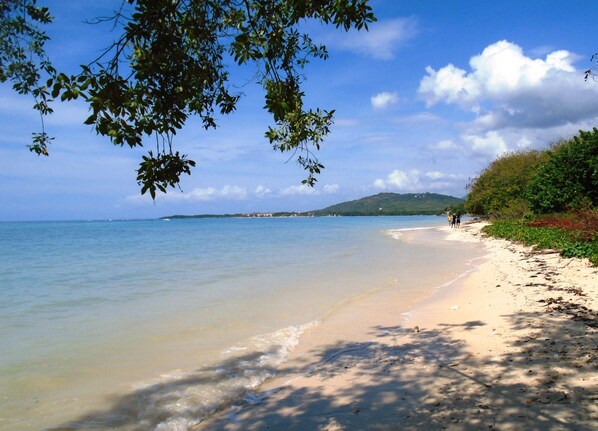 Beach - Fantastic, spacious villa with a large pool and sea views in a very safe area. (Westmoreland)