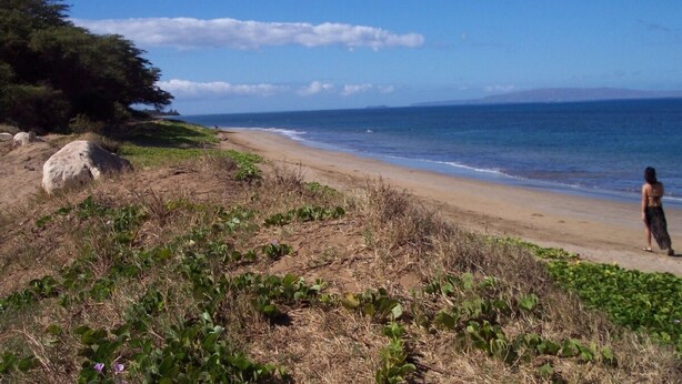 A beach with a person walking along the shore, surrounded by greenery and rocks.