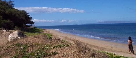 Beach nearby, sun loungers, beach towels