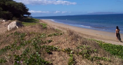 Kihei - Tropenhaus gegenüber dem Strand - PERMIT # STKM 2015/0003