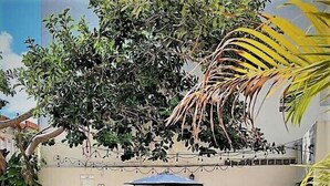 Un'area patio con poltrone, un tavolo e sedie all'ombra di un albero.