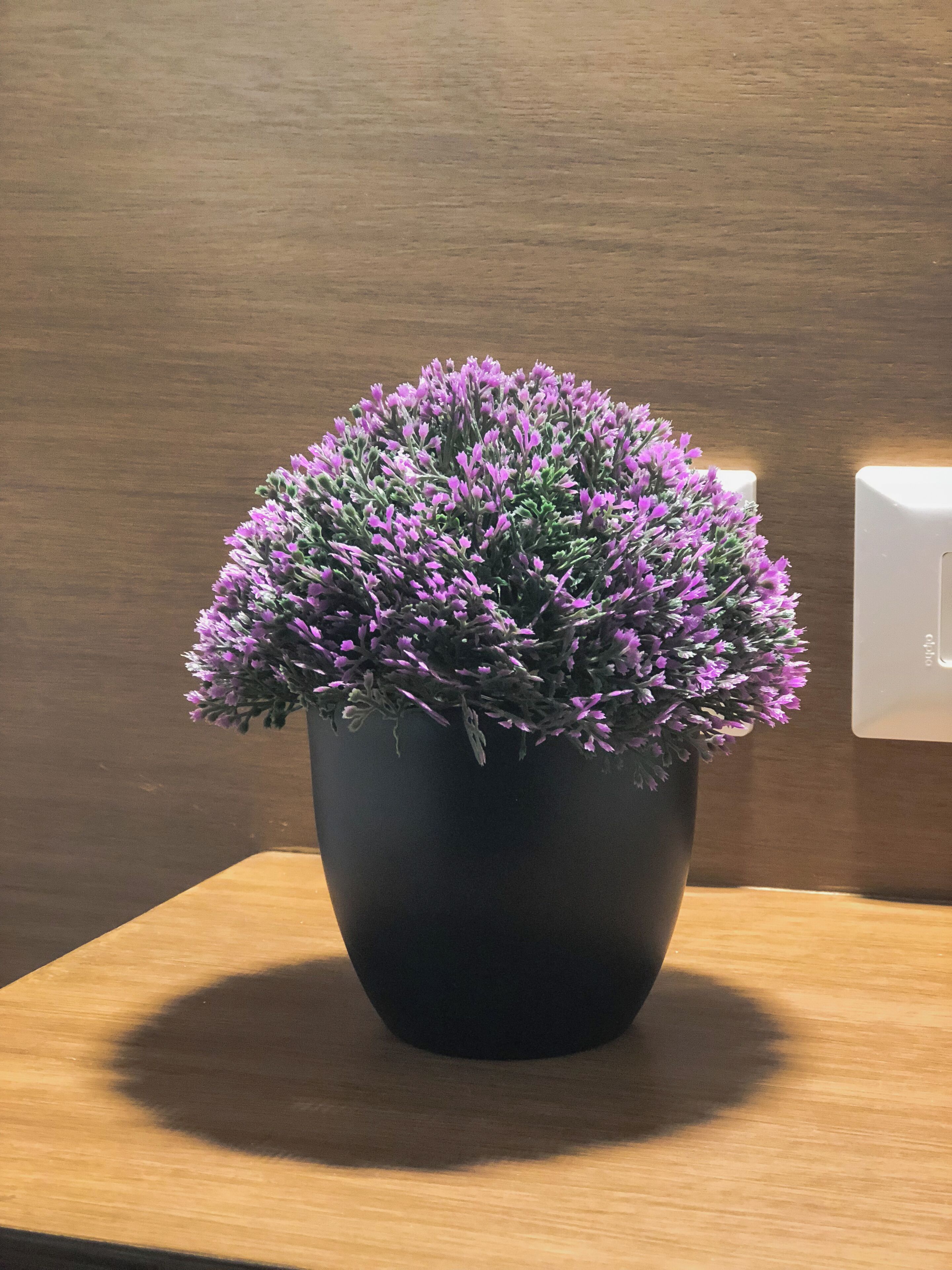 Uma planta em vaso com flores roxas sobre uma mesa de madeira, em frente a uma parede de madeira.