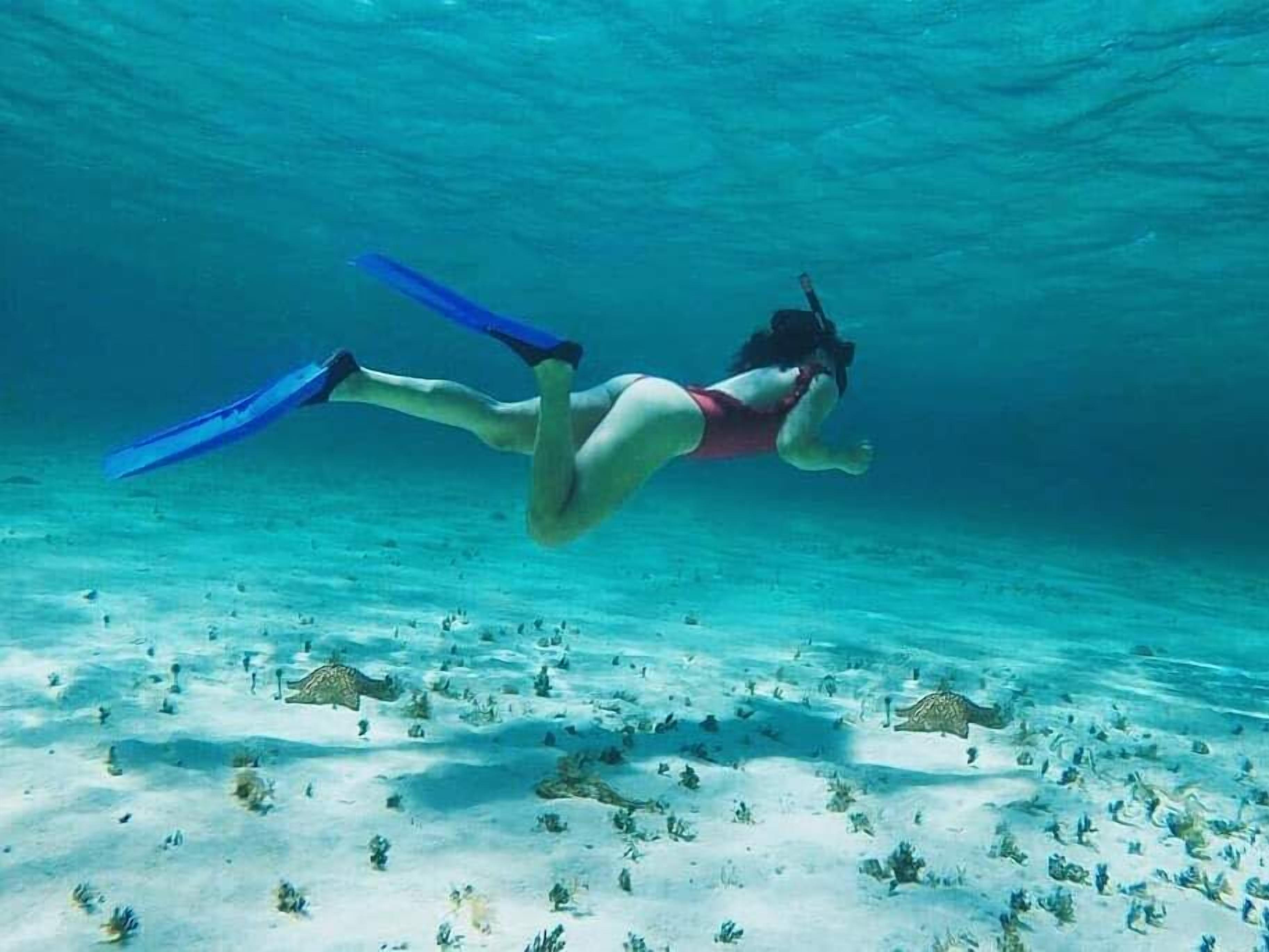 beach nearby, white sand, beach shuttle