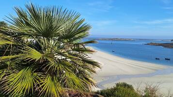 Una spiaggia nelle vicinanze