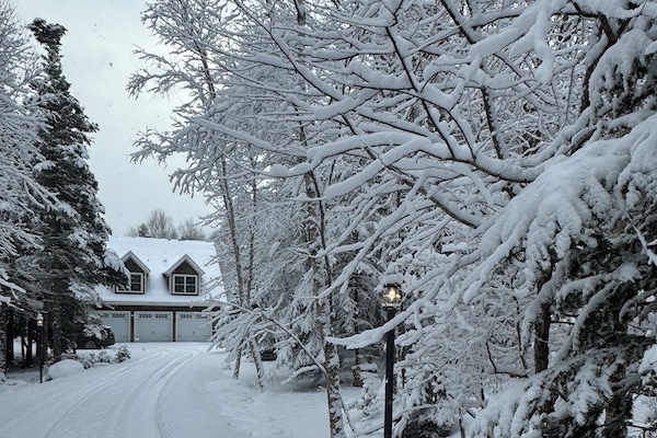 Snowshoe all the way down the drive.