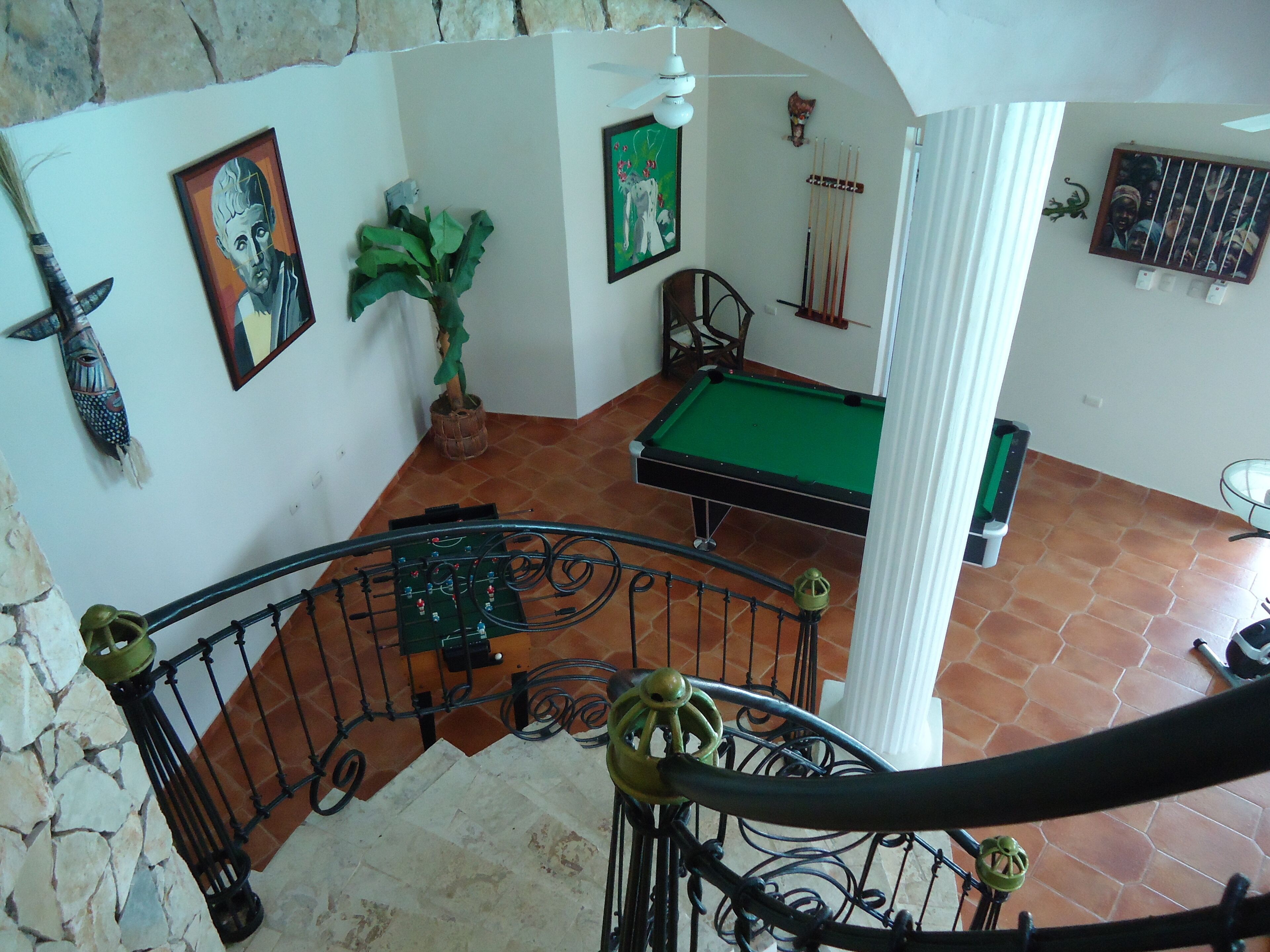 Une salle de billard avec une table de billard, une plante verte et un tableau accroché au mur.