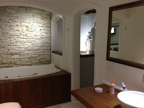 Bathtub, hair dryer, toilet paper