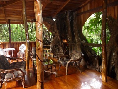 Enchanted Tree House experience with all the comforts!