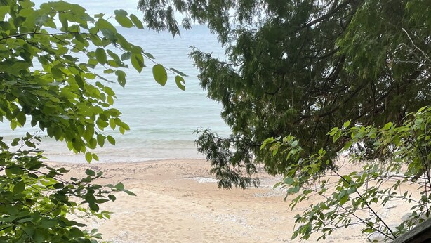 A wooden staircase leading to a sandy beach with trees in the foreground.