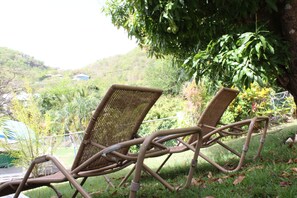 Property grounds - Palm Tree Villa (bois d orange)