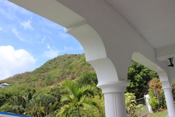 Property grounds - Palm Tree Villa (bois d orange)