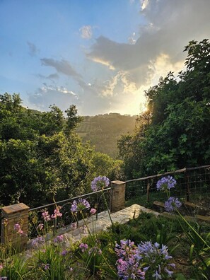 Property grounds - APARTMENT: TWO-ROOM APARTMENT WITH PRIVATE COURTYARD AND INDEPENDENT ENTRANCE 3/4 places (Perugia)