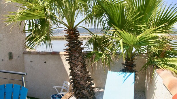 A patio area with a palm tree, a blue chair, and a white chair. - House / Villa - Frontignan (Frontignan)