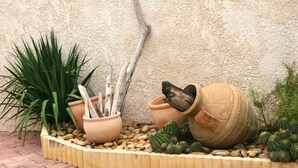 A garden with potted plants and cacti against a textured wall. - House / Villa - Frontignan (Frontignan)