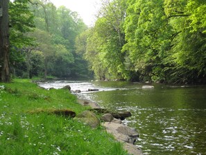 Unclassified image, 3 of 20, button