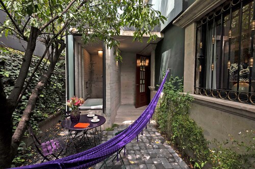 Pug Seal Polanco Anatole France