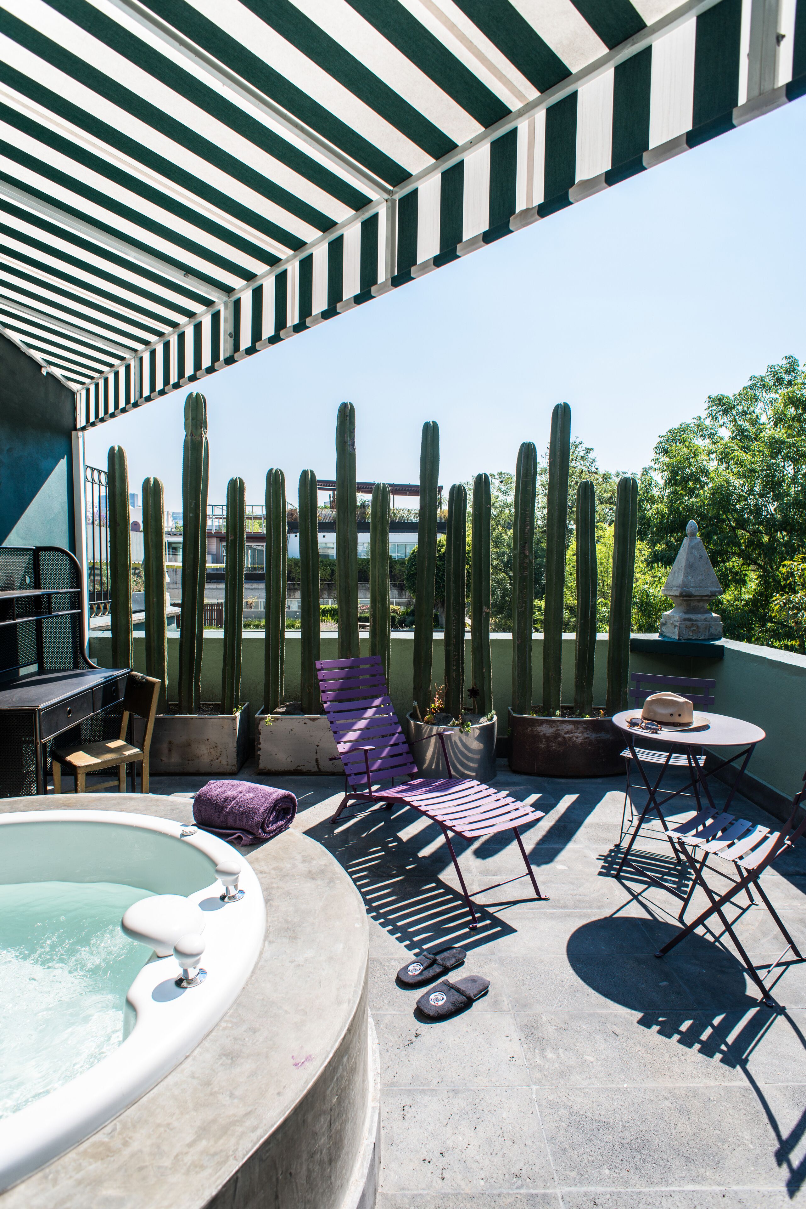 Photo - Pug Seal Polanco Anatole France