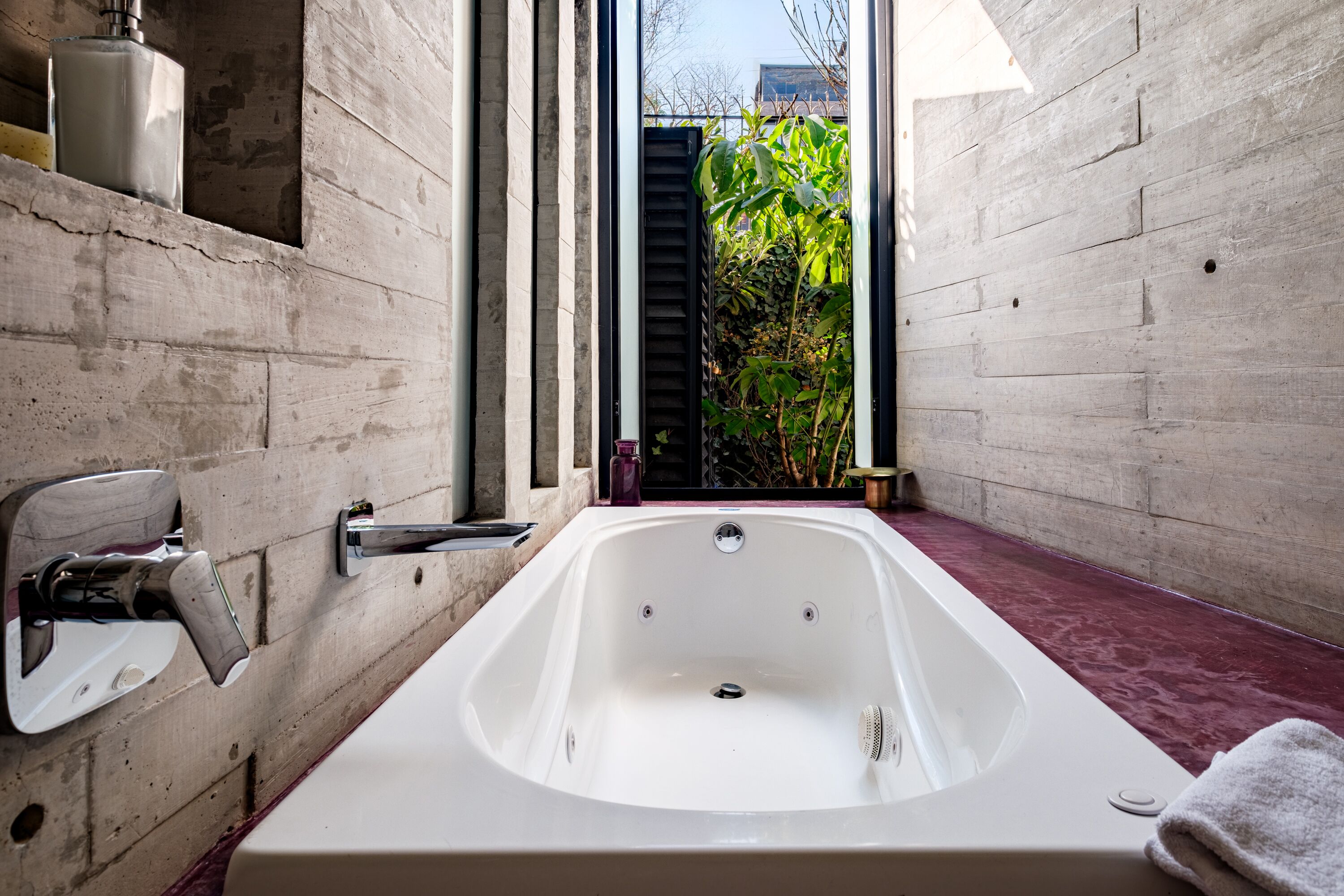 Photo - Pug Seal Polanco Anatole France