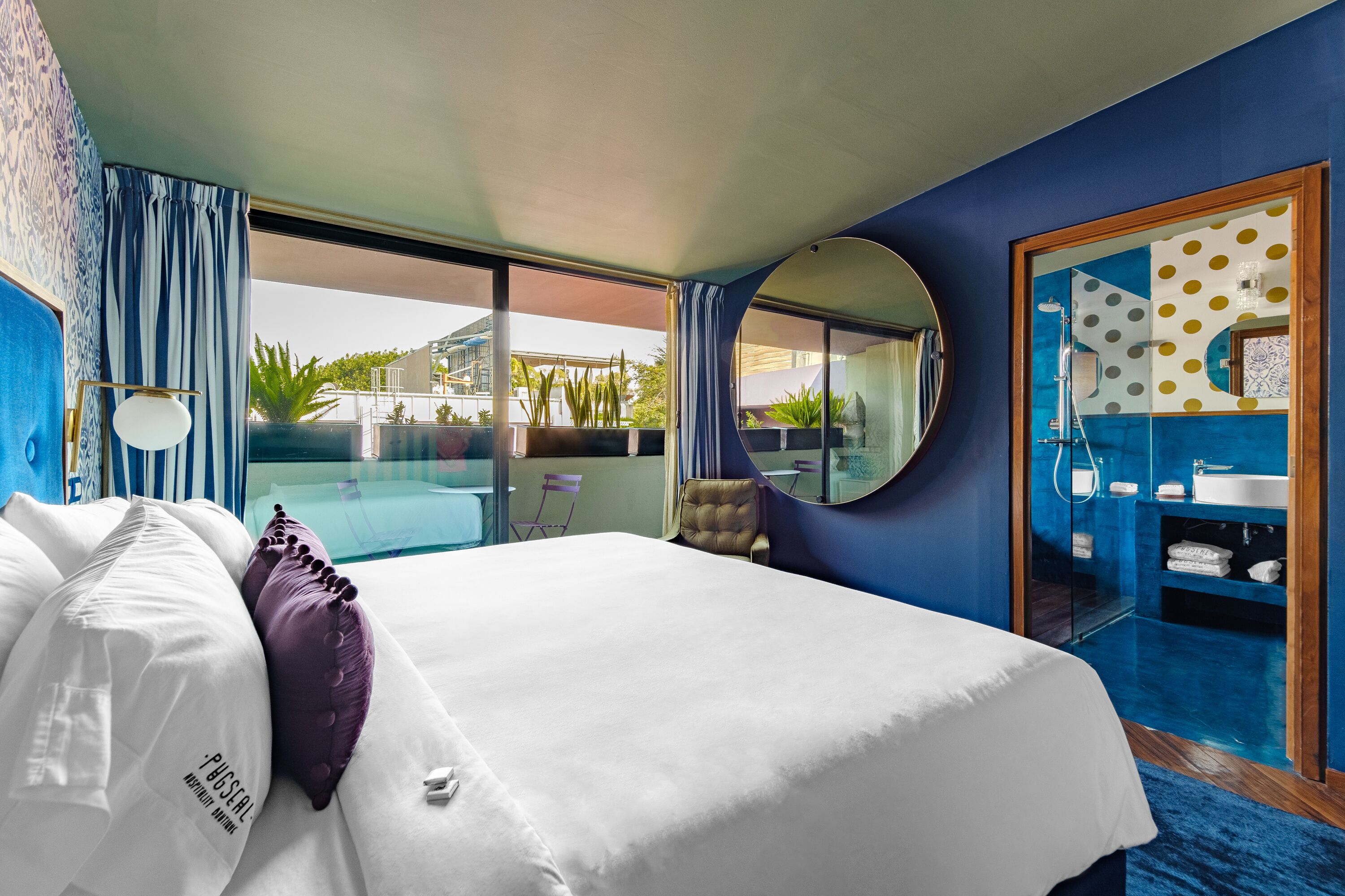 Photo - Pug Seal Polanco Anatole France