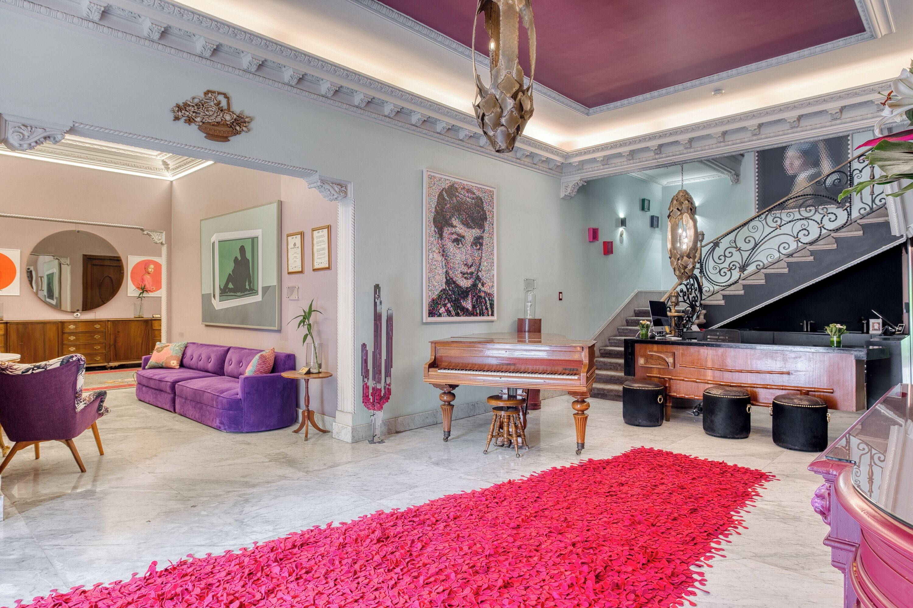 Photo - Pug Seal Polanco Anatole France