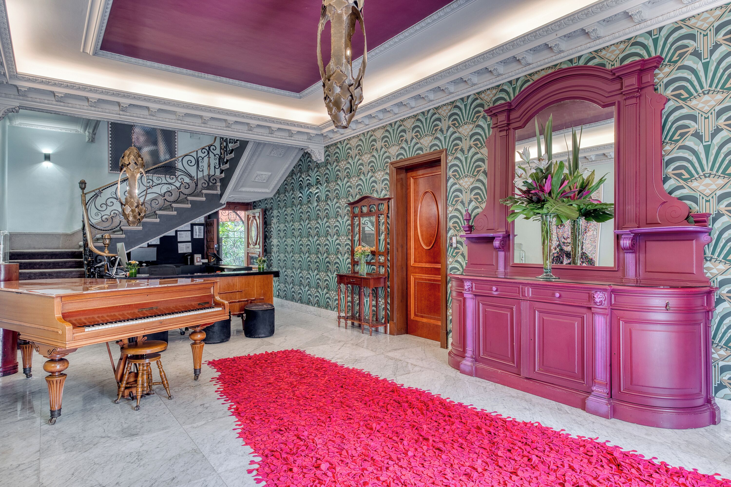 Photo - Pug Seal Polanco Anatole France