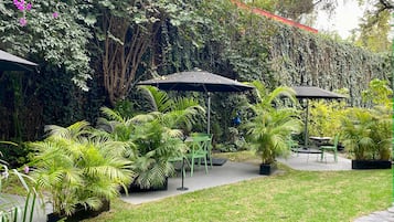 Jardín