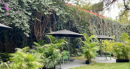 Pug Seal Polanco Anatole France