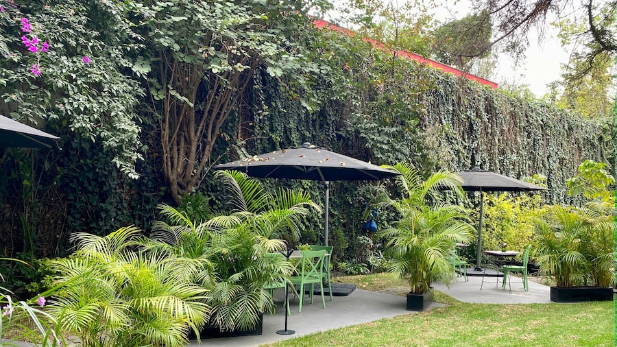 Pug Seal Polanco Anatole France