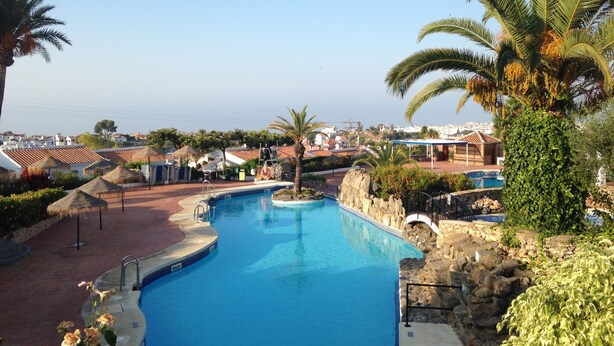 A swimming pool with a stone wall, palm trees, and a view of houses in the background.