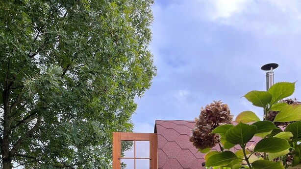 Een houten tuinhuis met een glazen deur, omgeven door een gazon met een haag en een boom.