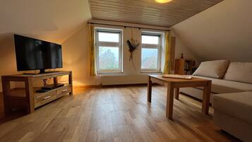 TV, fireplace, DVD player, stereo