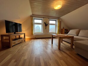 Télévision, cheminée, lecteur de DVD, chaßne hi-fi