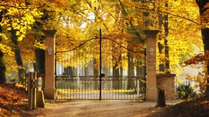 Ein begrenzter Eingangsbereich mit schmiedeeisernem Tor, umgeben von Bäumen mit Herbstlaub.
