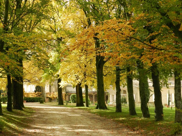 Parco della struttura