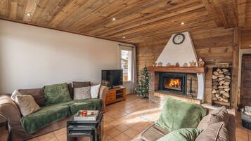 Télévision, cheminée, lecteur de DVD