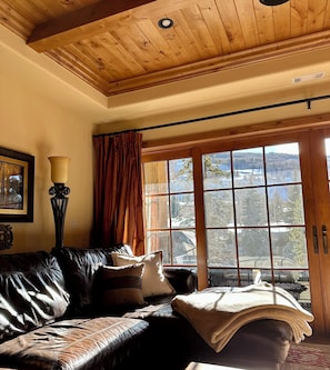 TV, fireplace, DVD player, stereo