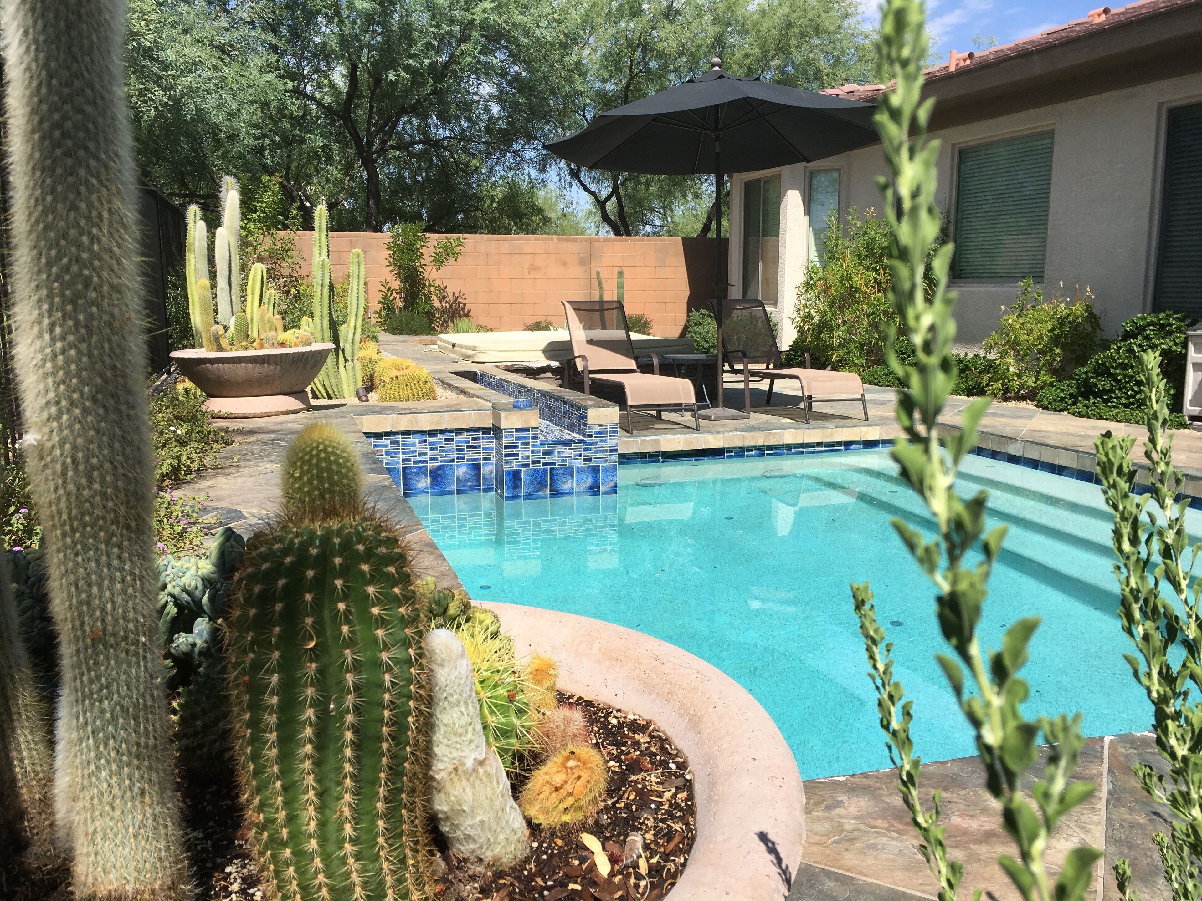Sonaran Foothills Getaway