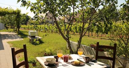 gite Riesling pour 2 à 8 personnes, idéal pour les familles,