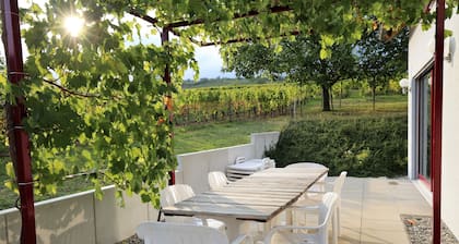 Riesling cottage for 2 to 8 people, ideal for families,