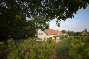 Une maison avec un toit rouge, entourée d’un jardin et d’un vignoble bien entretenus.