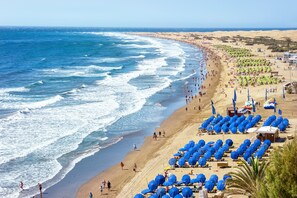 A beach with rows of blue umbrellas and beach chairs, a sandy shore, and the ocean.