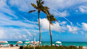 A beach with palm trees, beach umbrellas, and lounge chairs.