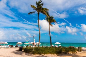 Plage, chaises longues