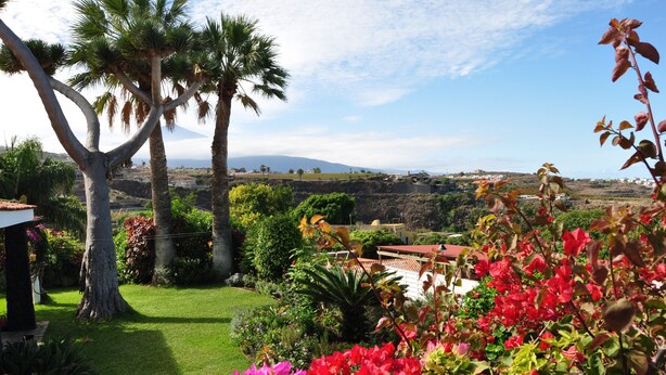 Un jardín con palmeras y plantas en flor, vista de un pueblo lejano y cielo despejado.